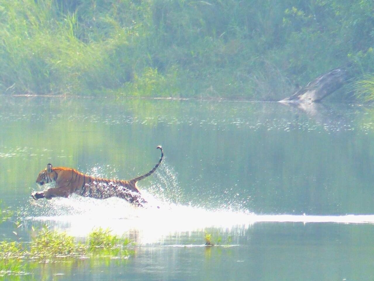 Bardiya Babai Resort Pvt Ltd מראה חיצוני תמונה