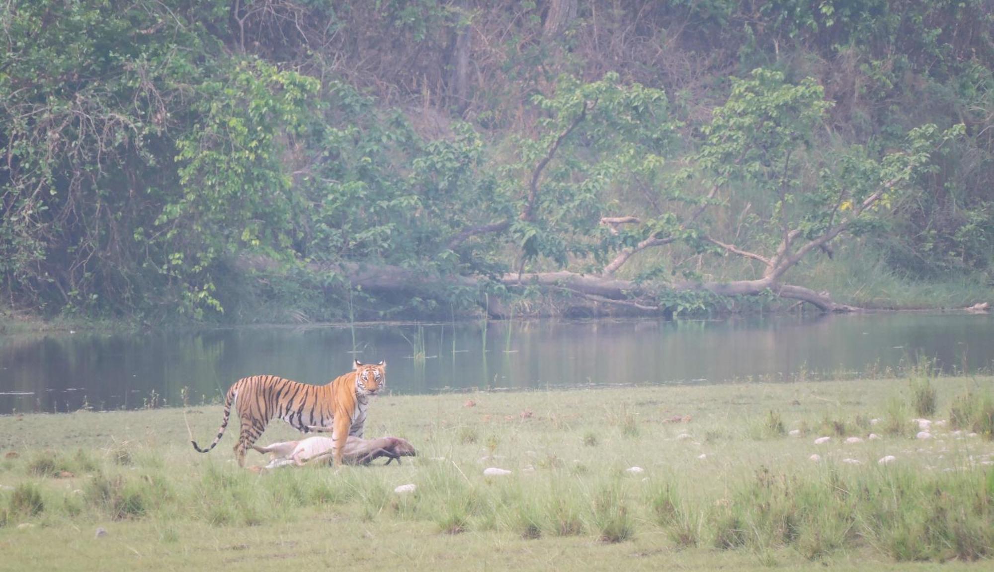 Bardiya Babai Resort Pvt Ltd מראה חיצוני תמונה